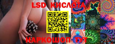 мдпв Гай