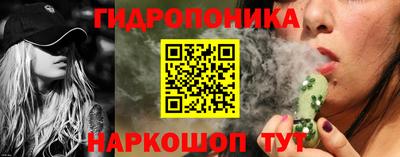 спайс Гатчина