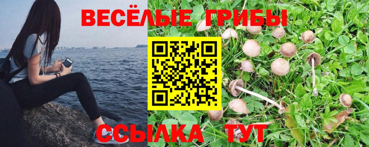 Псилоцибиновые грибы ЛСД  Вход с VPN  Ялта  как найти закладки  Псилоцибиновые грибы прущие грибы 